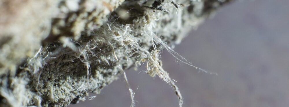 Asbestos Risk Consultants in Greater London
